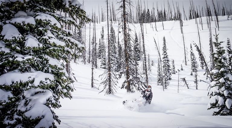 Sledding faceshots in Fernie, BC