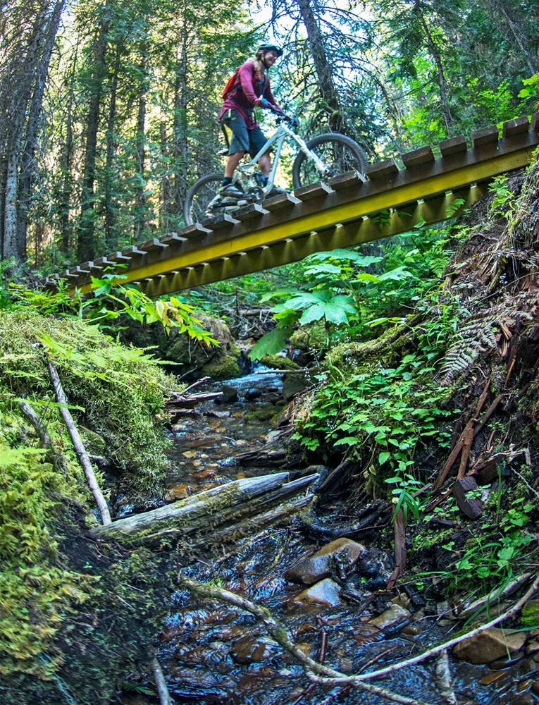 Biking Lazy Lizard Trail