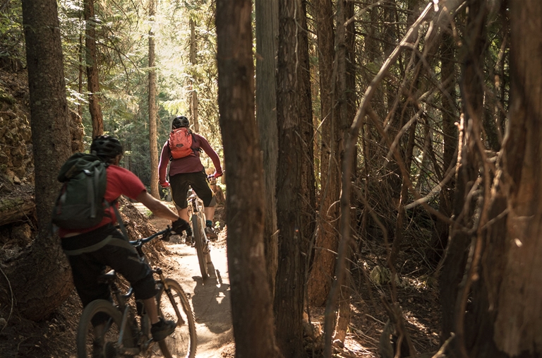 Biking Lazy Lizard Trail