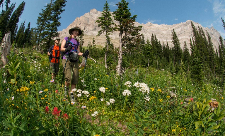 Mountain Lakes Trails (aka Heiko's Trail). Credit: Mike McPhee