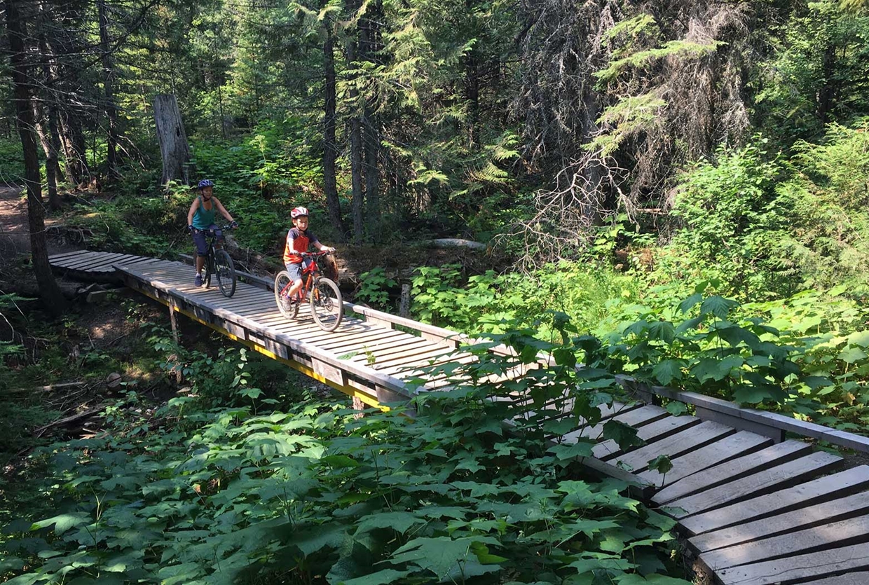 Boardwalks and bridges on Lazy Lizard Trail