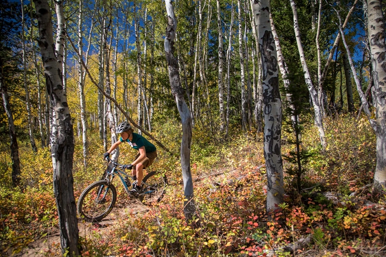Fall mountain biking on Dem Bones Trail in Fernie