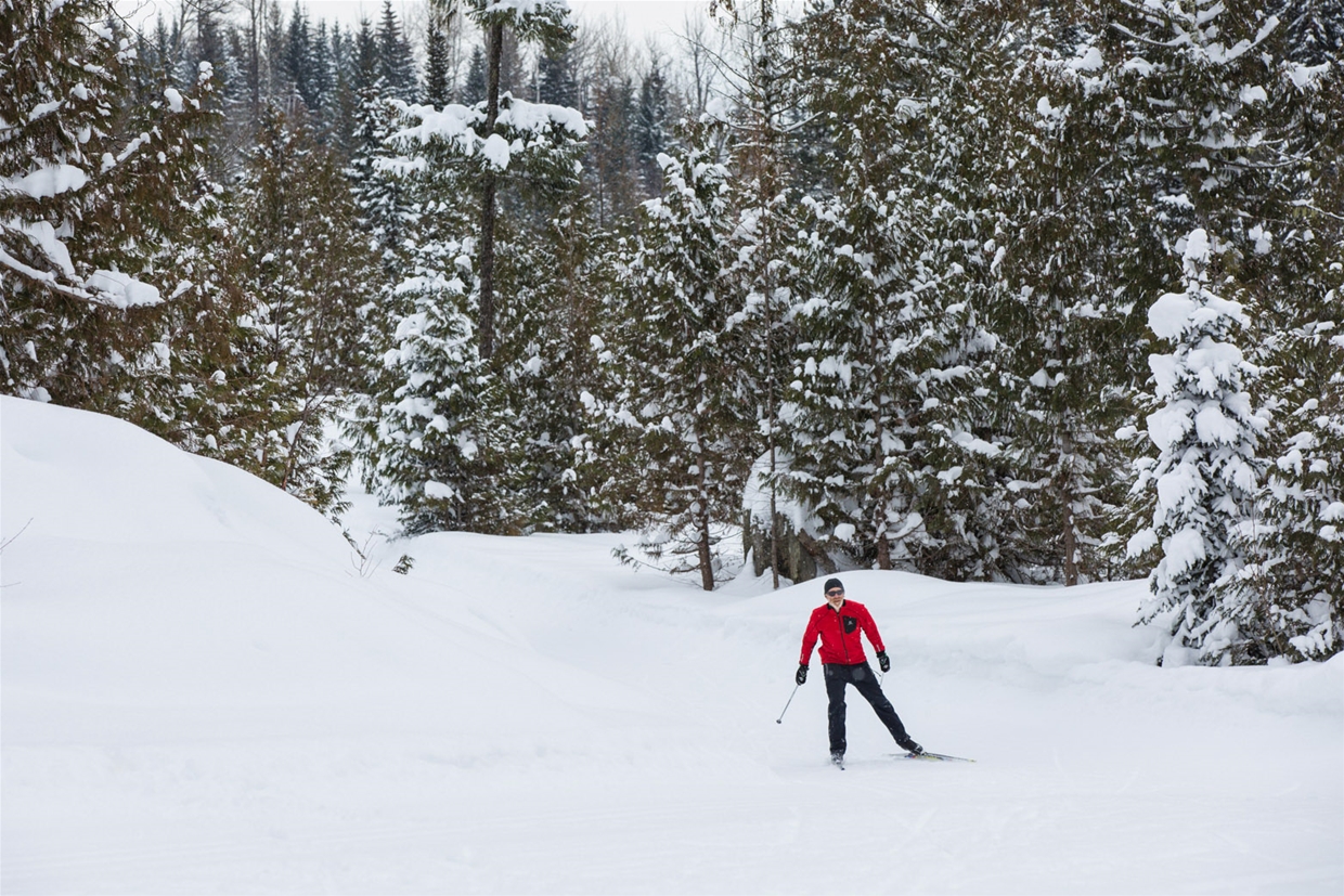 Elk Valley Nordic Centre in Fernie - Skate skier