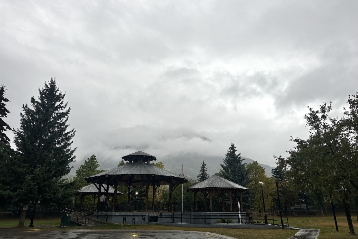 Rotary Park, looking North. 9.10am, Monday, September 15th, 2025.