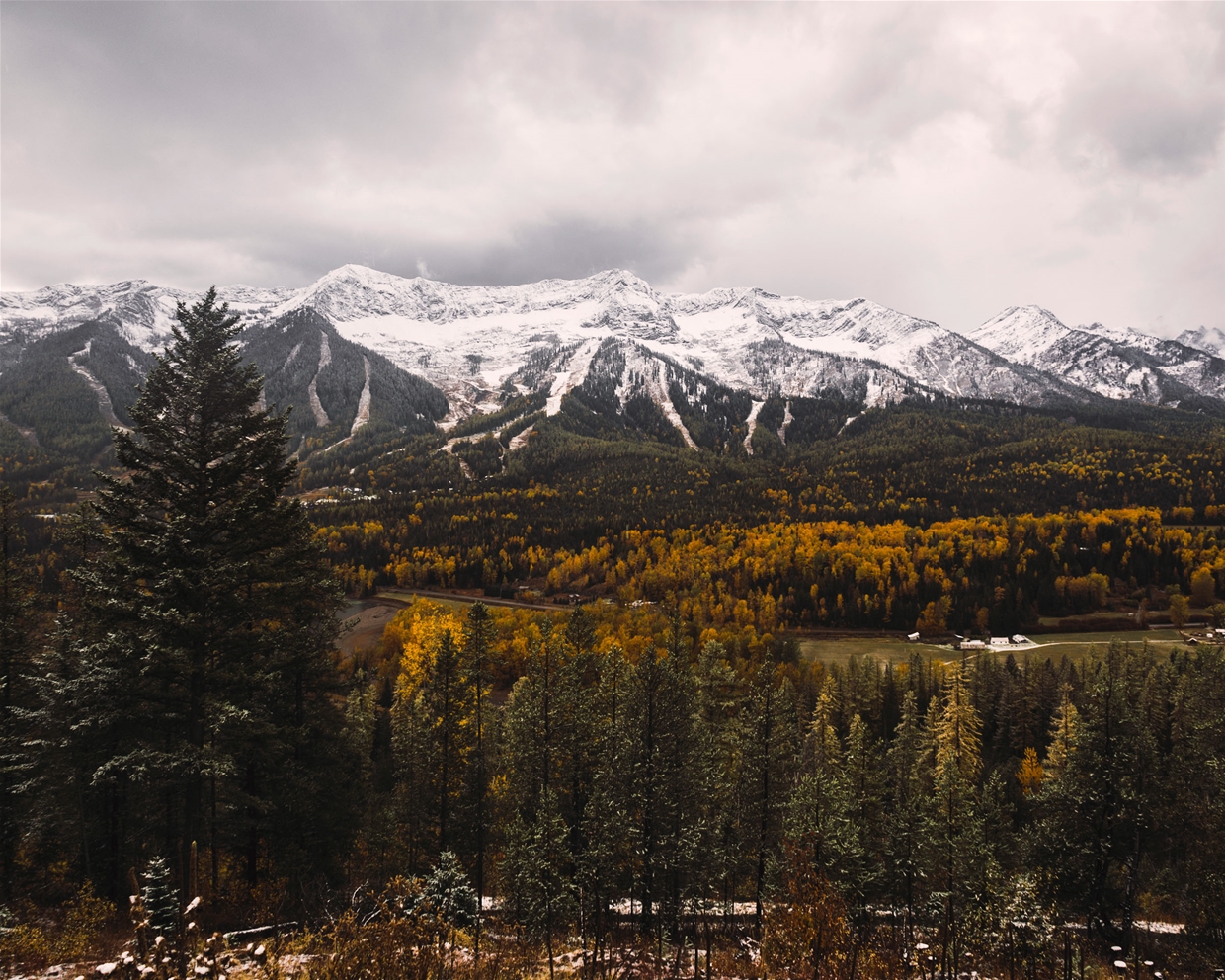 Mike Cotton - Montane Hut