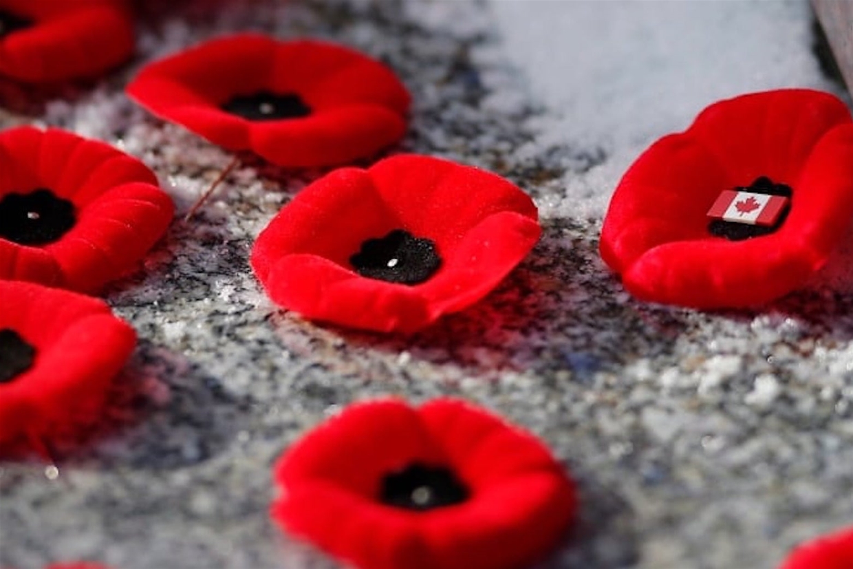 Remembrance Day Poppies