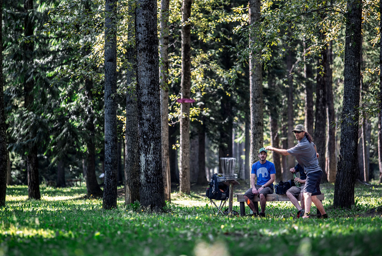Disc golf in James White Park