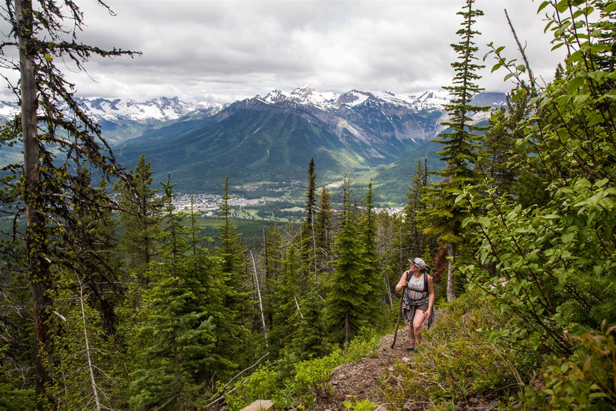Fernie Ridge Hike