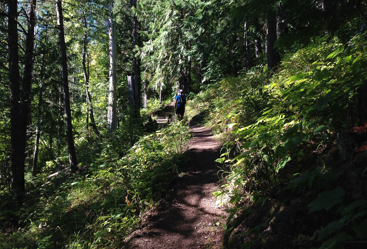 Mt Fernie Hike