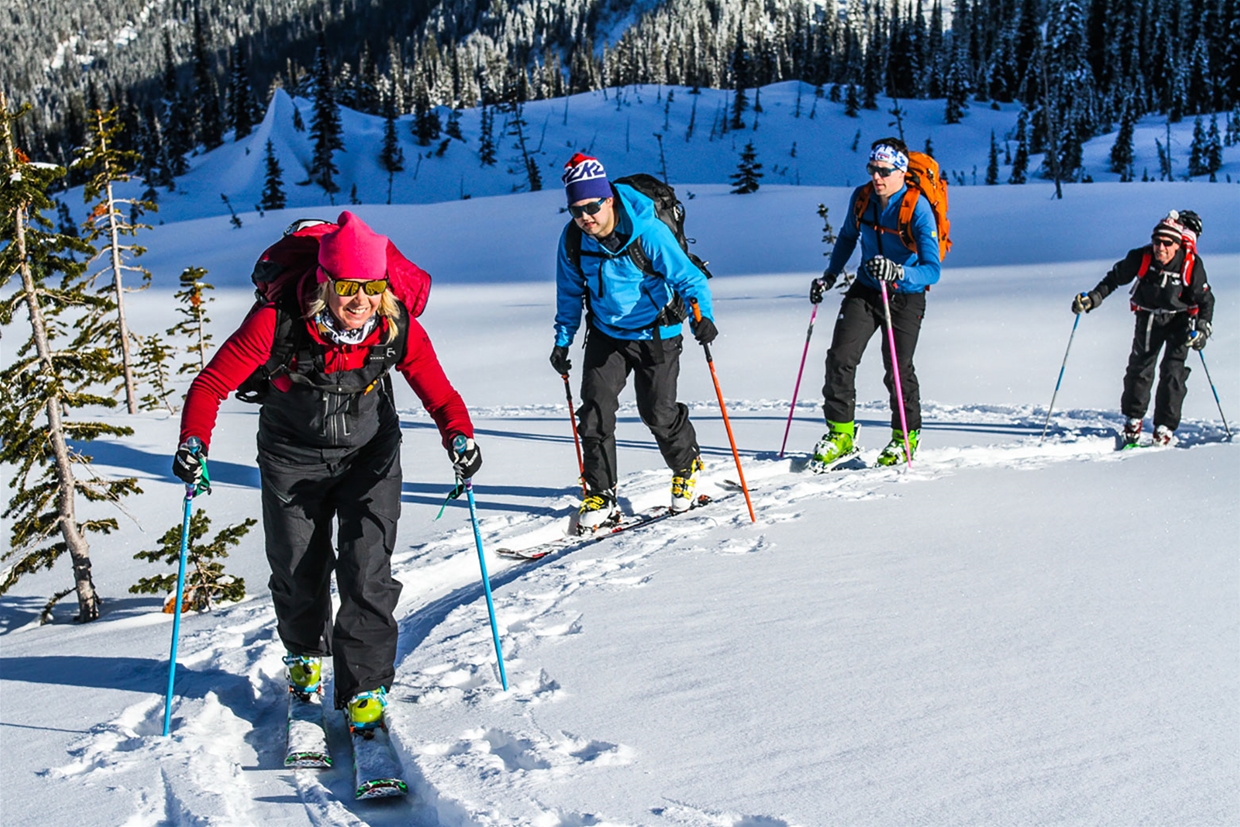 Ski Touring near Fernie