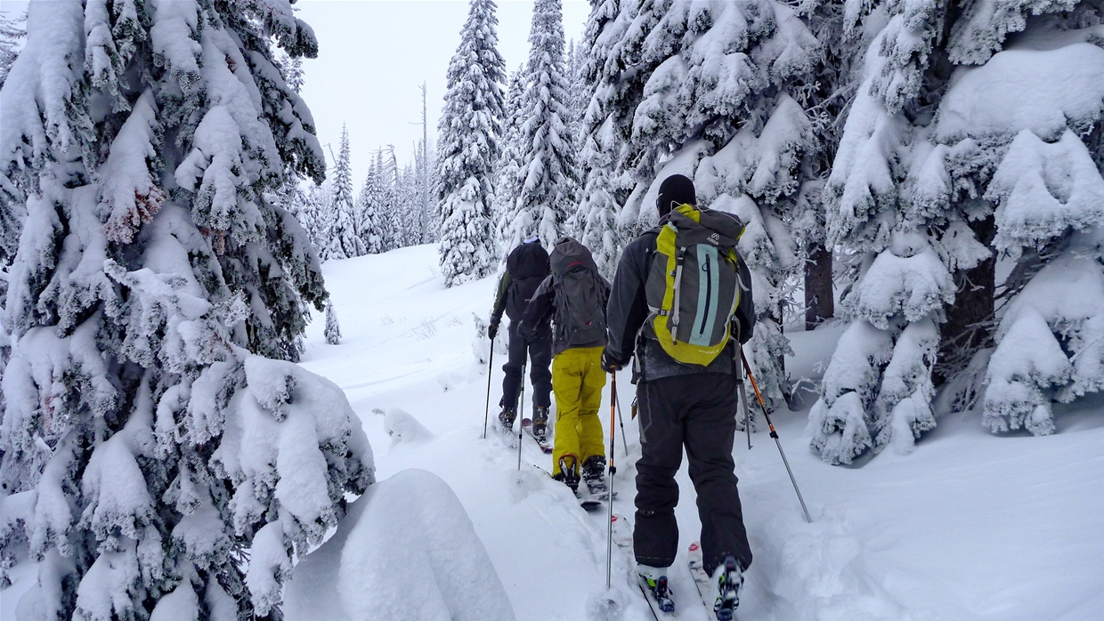 Ski Touring in the Fernie Area