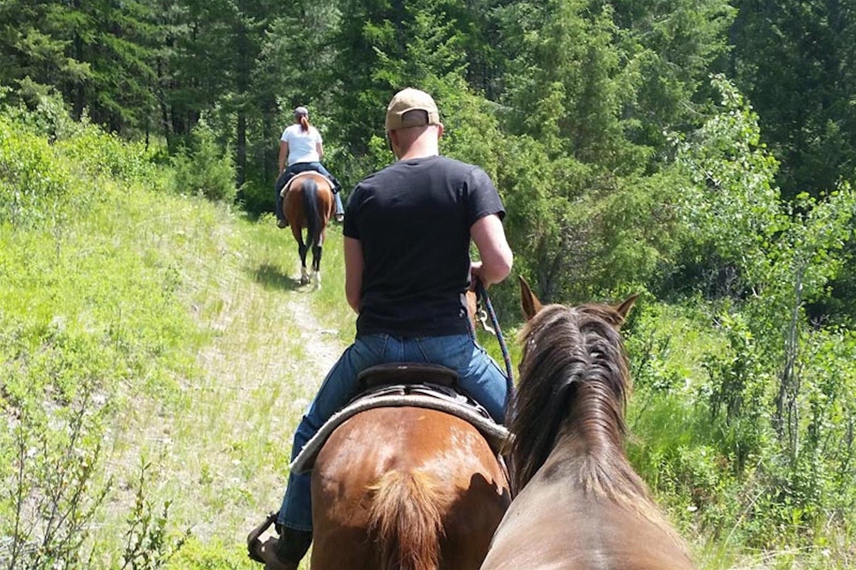 Explore Mountain Passes, Forests , Rivers and Alpine Meadows