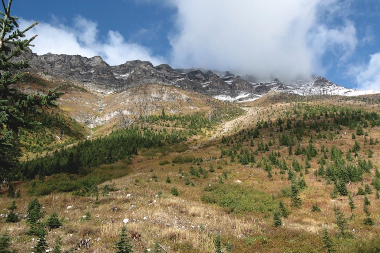 Discover the Beautiful Scenery of the South Country