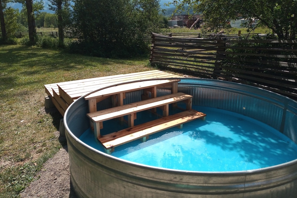 Dog Pool added in 2023