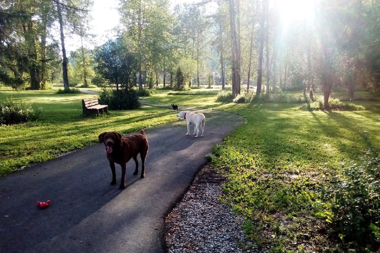 Enjoying the paved trails
