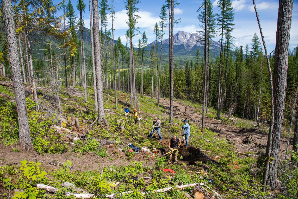 Volunteer trail crews meet regularly to fix and build Fernie's trails