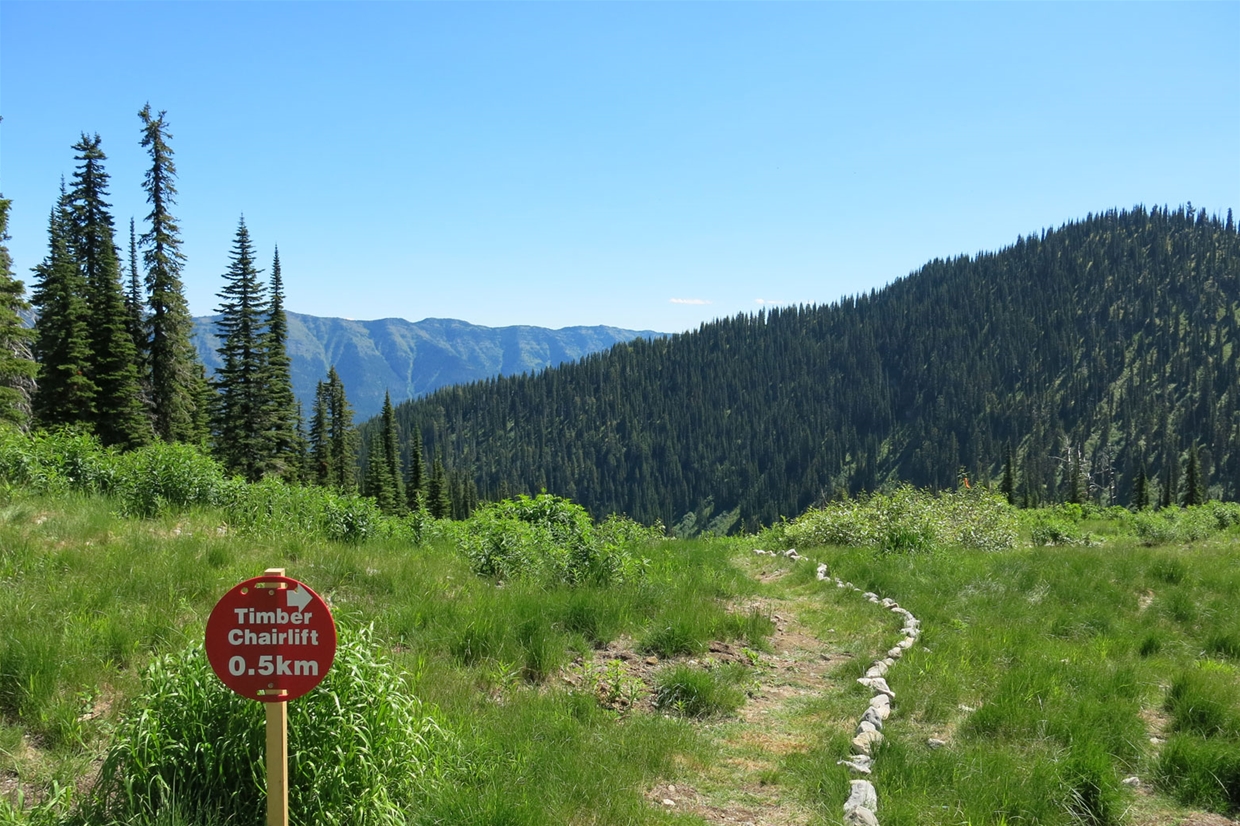 Hiking at Fernie Alpine Resort