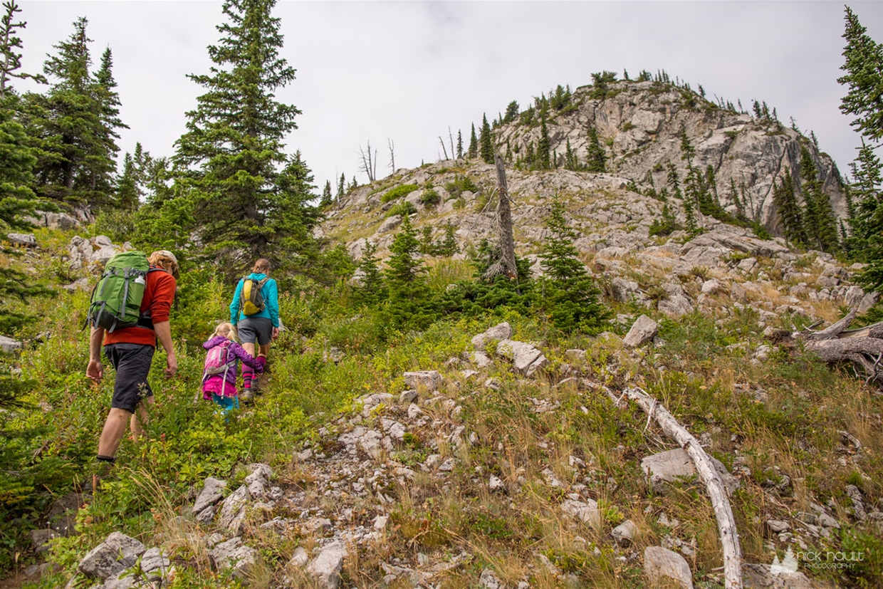 Hiking at Fernie Alpine Resort