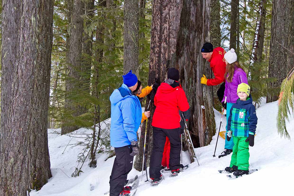 Nature Bob's Interpretive Tours