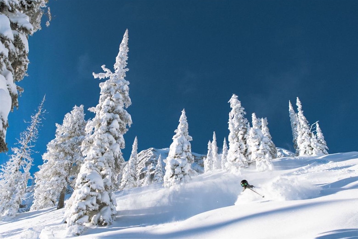 Powder slopes and blue skies at Fernie Alpine Resort