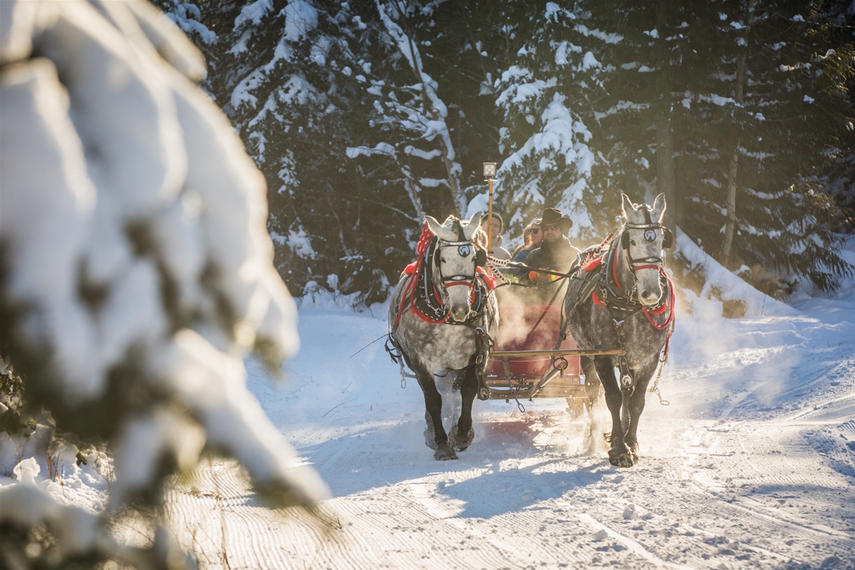 Horse Drawn Sleigh Rides