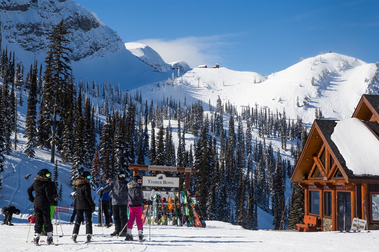 Find us at the top of the Timber Chair