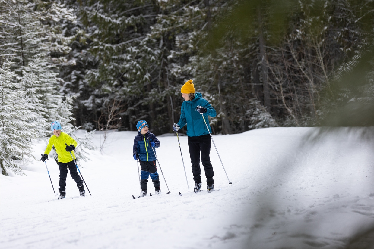 Cross Country Skiing at Fernie Alpine Resort