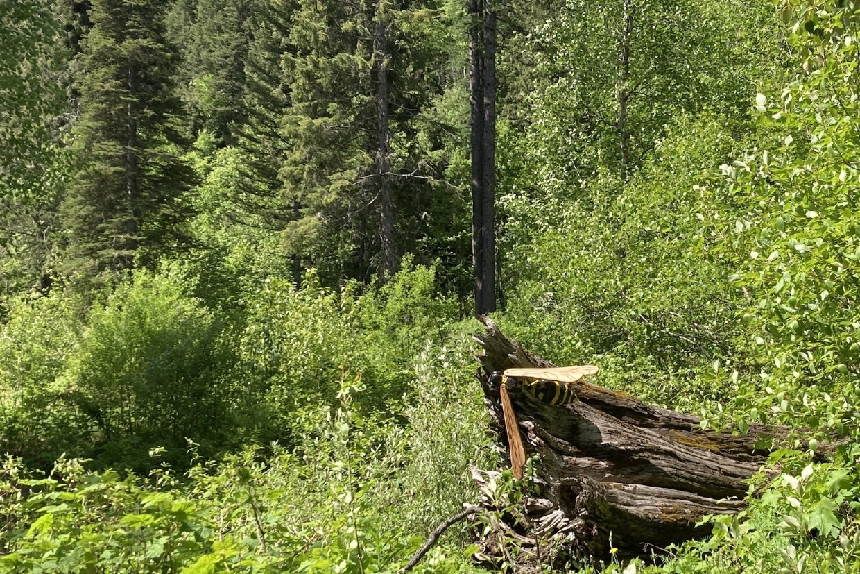 Discover small art installations as you wander