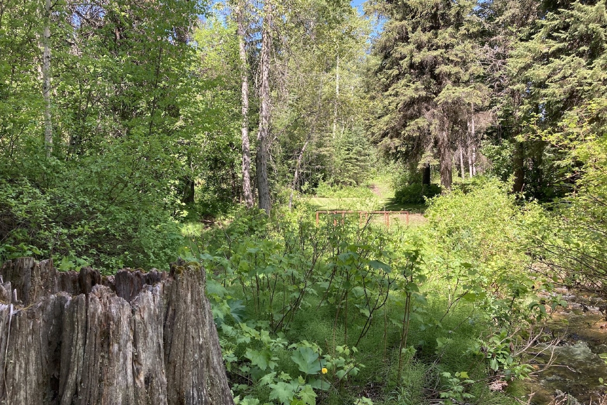 Stroll through forests and meadows