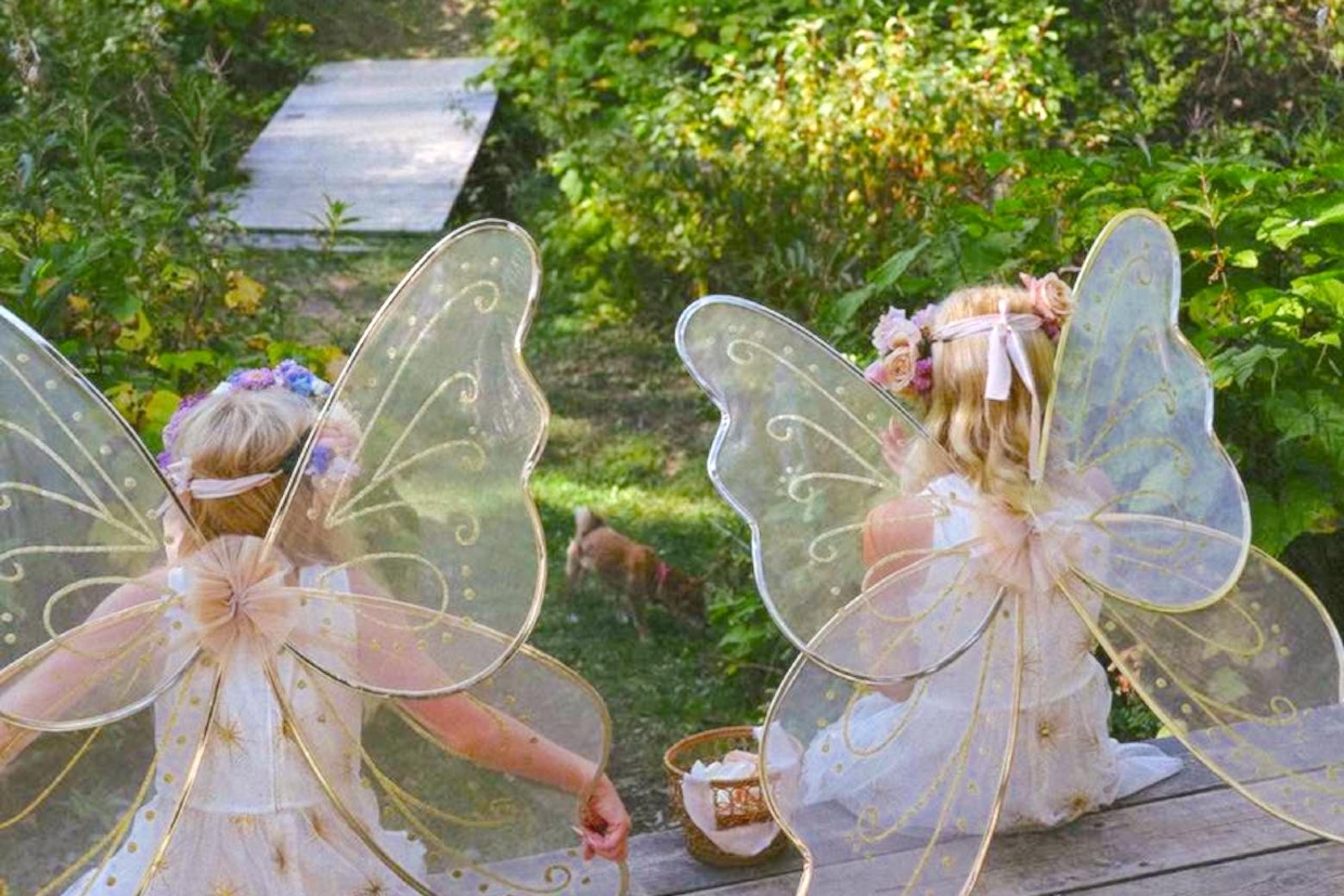 Fairies in the forest