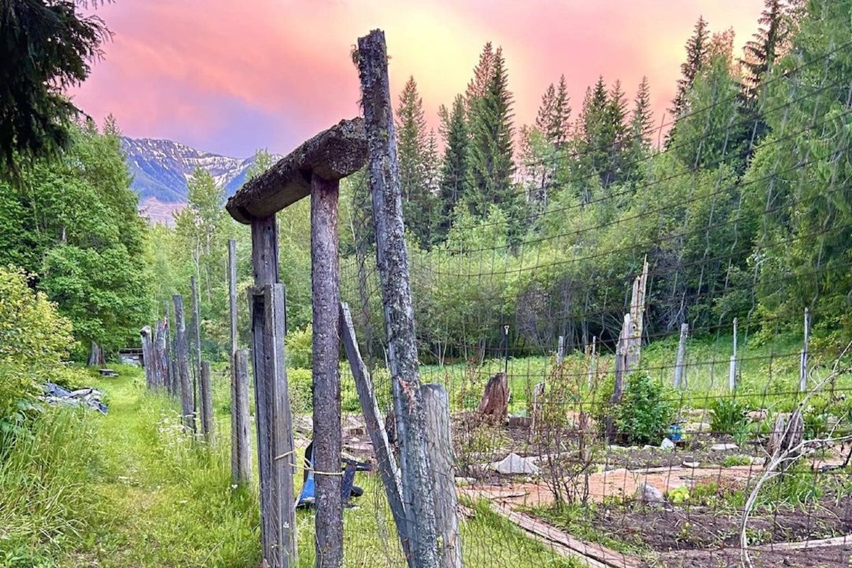 Explore the working vegetable gardens