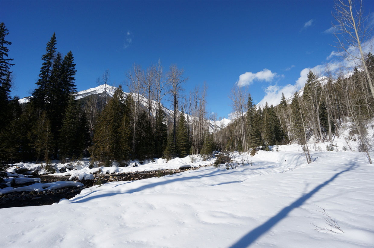 Fairy Creek Community - Lots for Sale