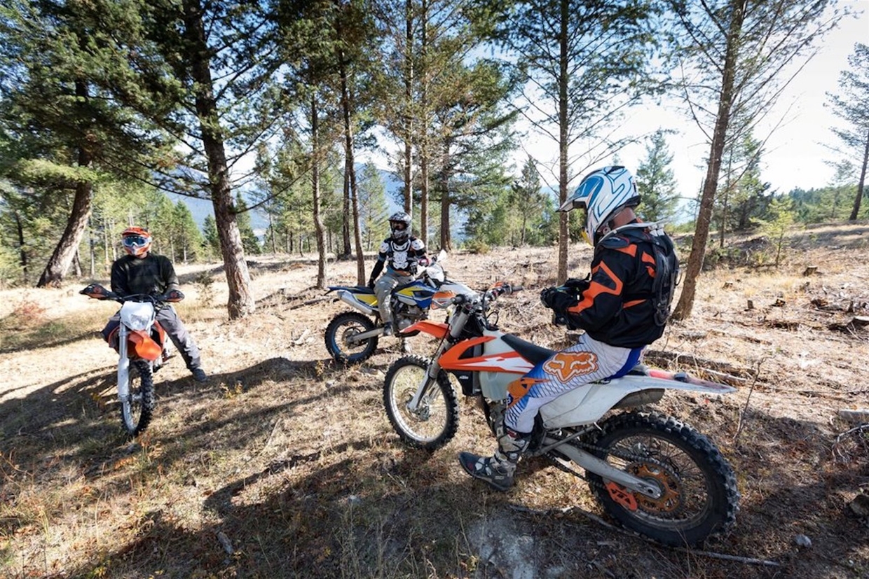 Great for groups, gatherings and tours