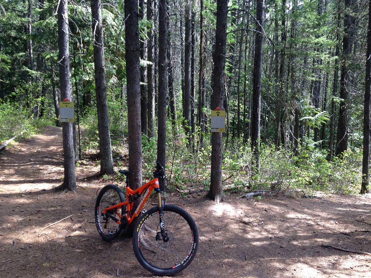 4 Corners - R-Trail, Deadfall, Broken Derailer