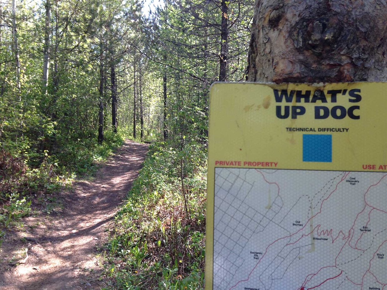 What's Up Doc Trail - Ridgemont Area