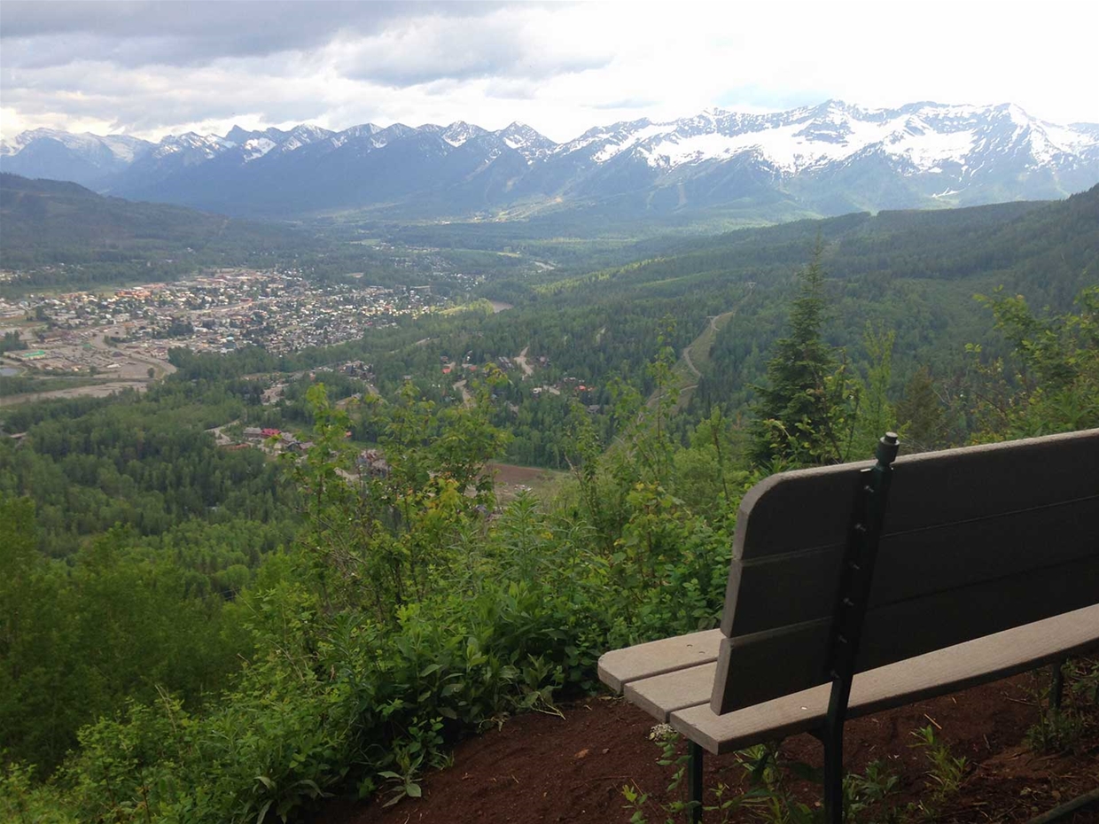 Top of Swine Flu Trail