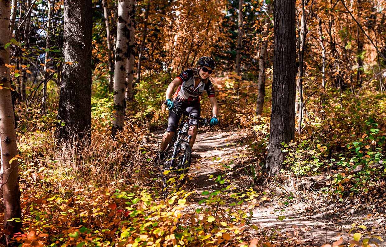 Bike trails around Fernie