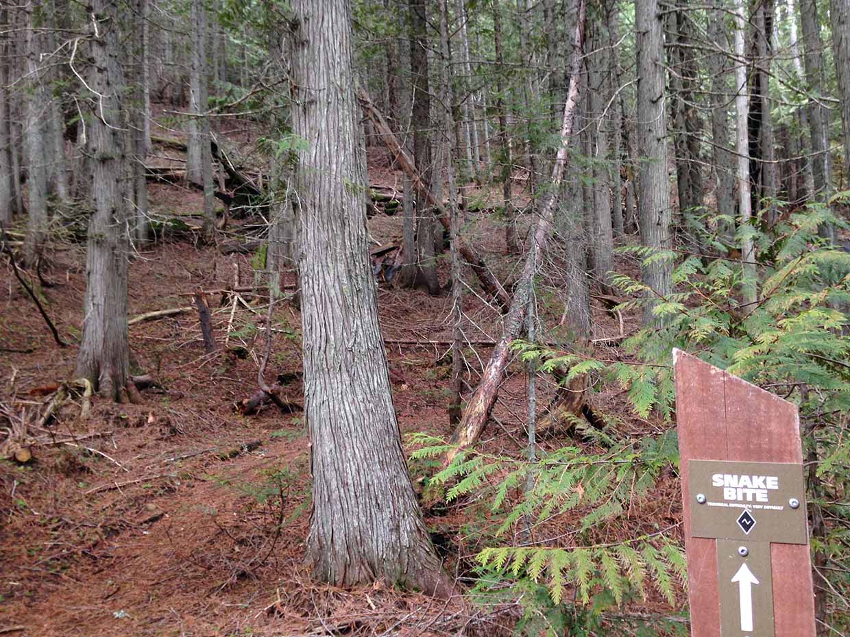 Snake Bite Trail