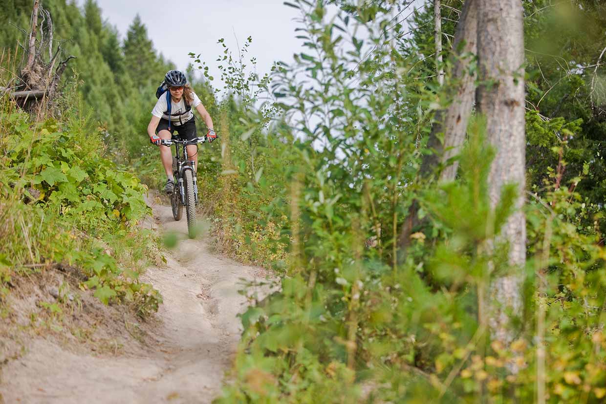 Roots Trail on Castle Mountain