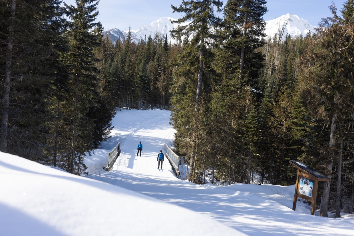 Bridge Crossing at Elk Valley Nordic Centre