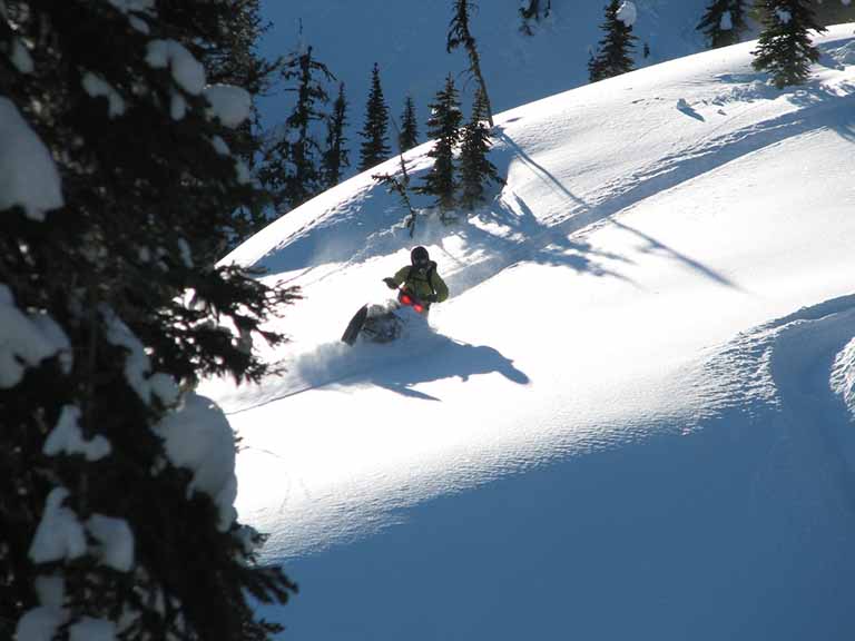 Famous Fernie powder in Harvey Pass 