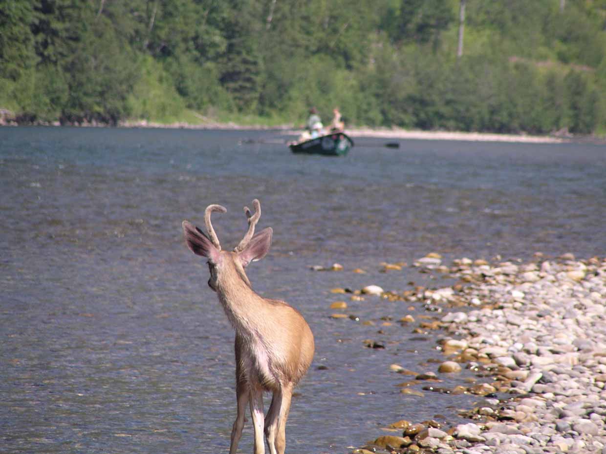 Remote wilderness fishing