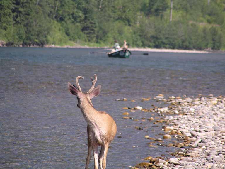 Remote wilderness fishing