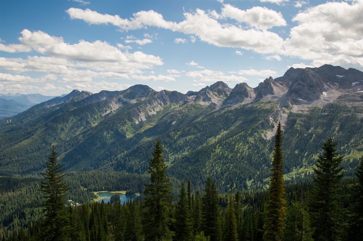 Views from the Baldy Trail