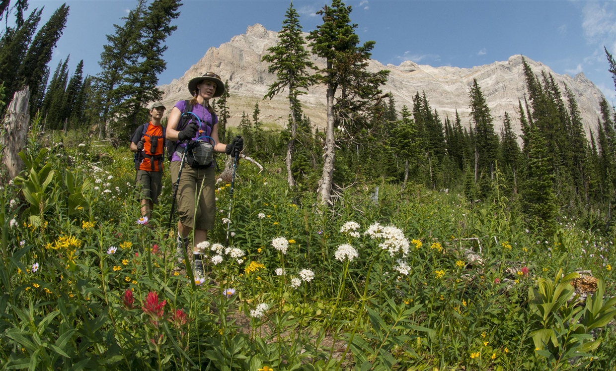 Heiko's Trail; Island Lake Lodge 