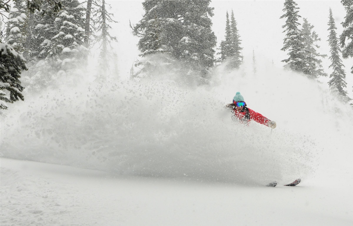 Famous Fernie powder