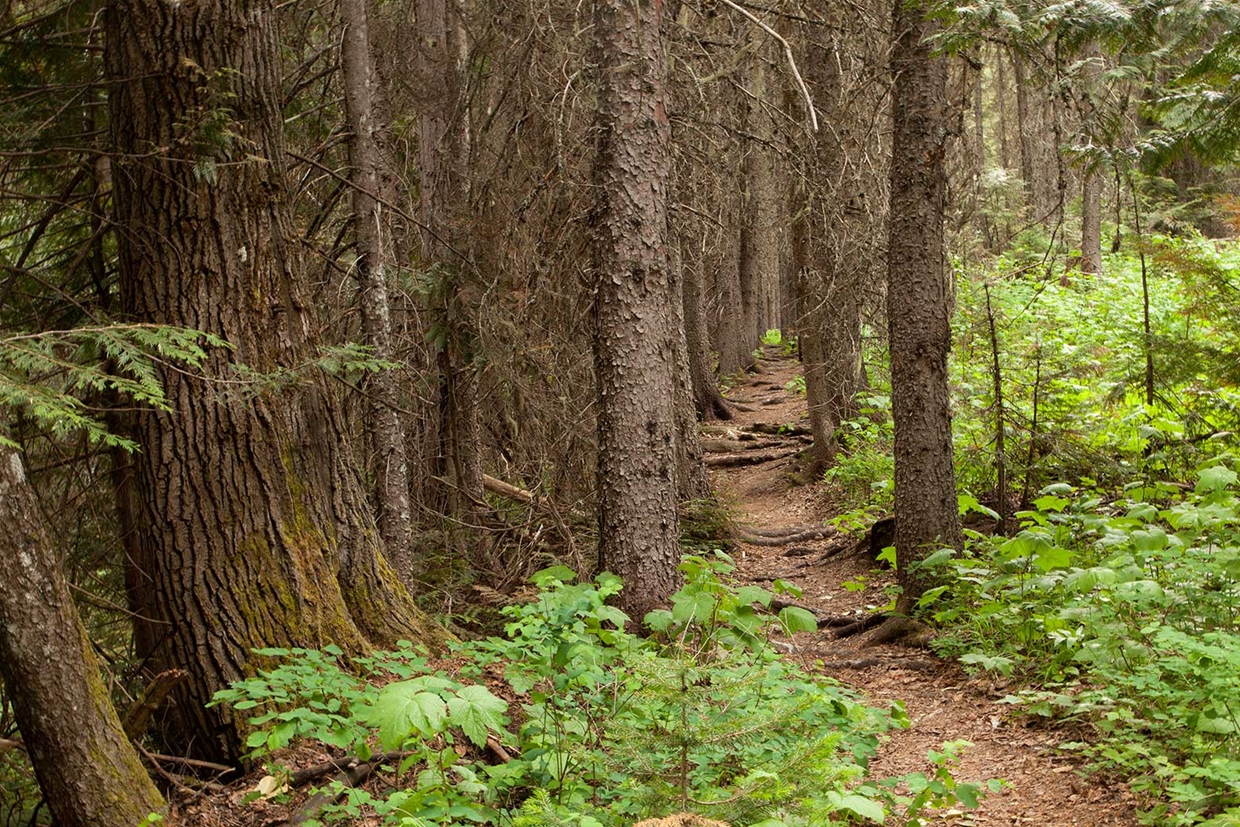 Cedar Vally Rail Trail