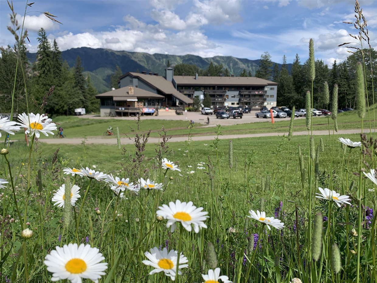 The Griz Inn Fernie BC