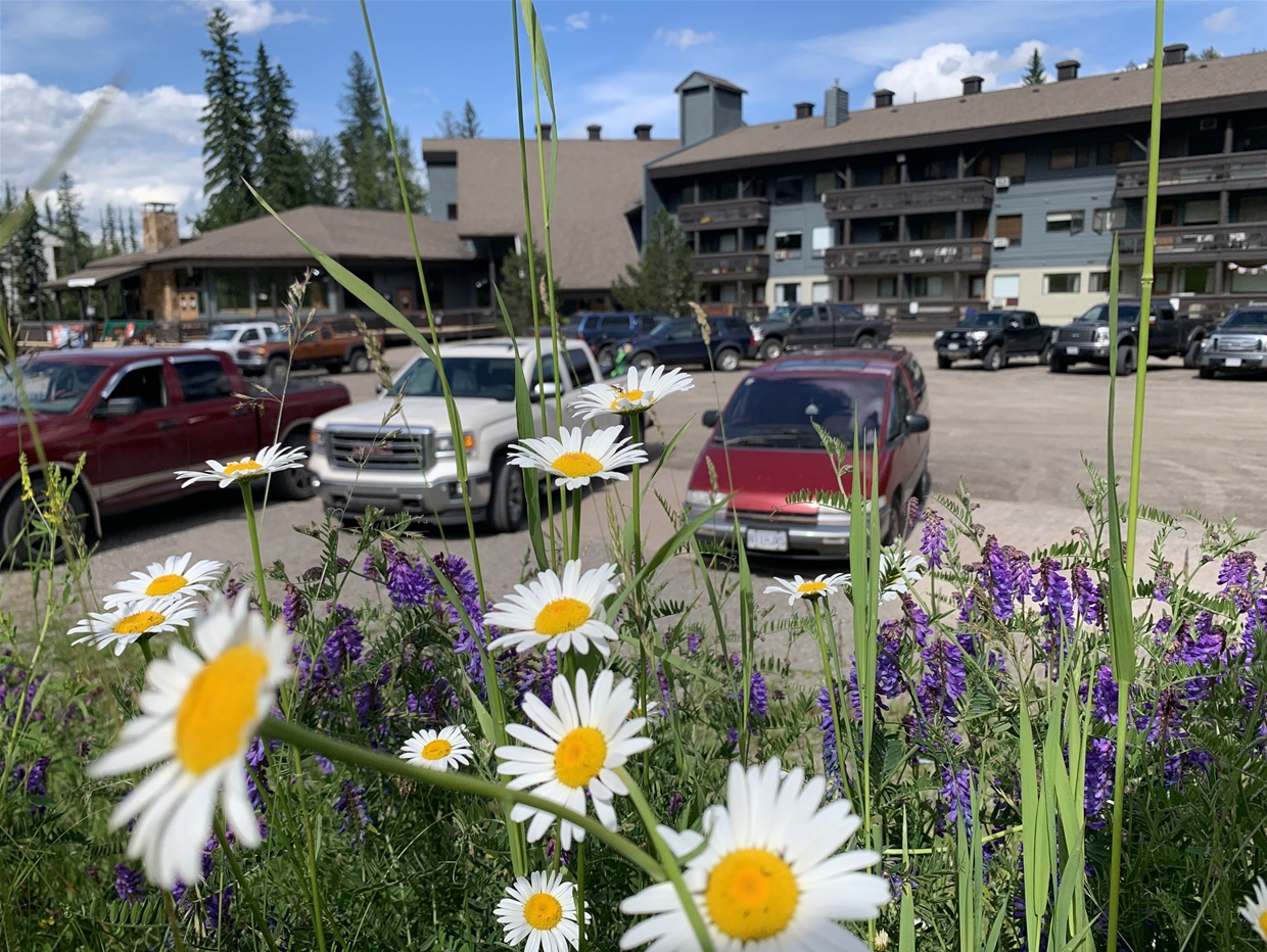  Griz Inn at Fernie Alpine Resort