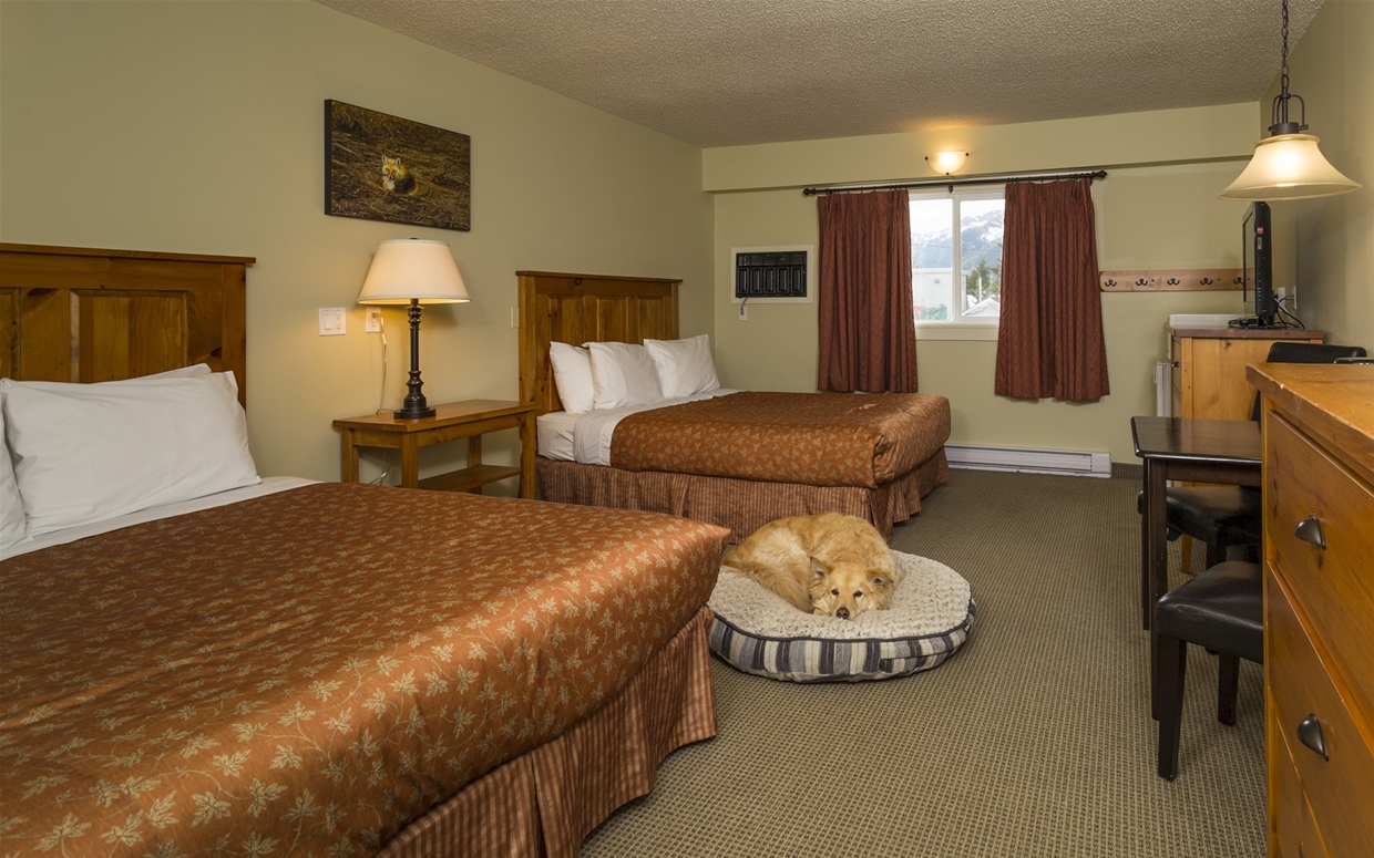 Pet Friendly Standard Rooms
